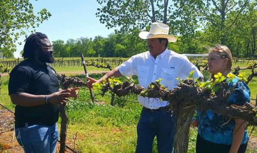 FB_IMG_1460136961558